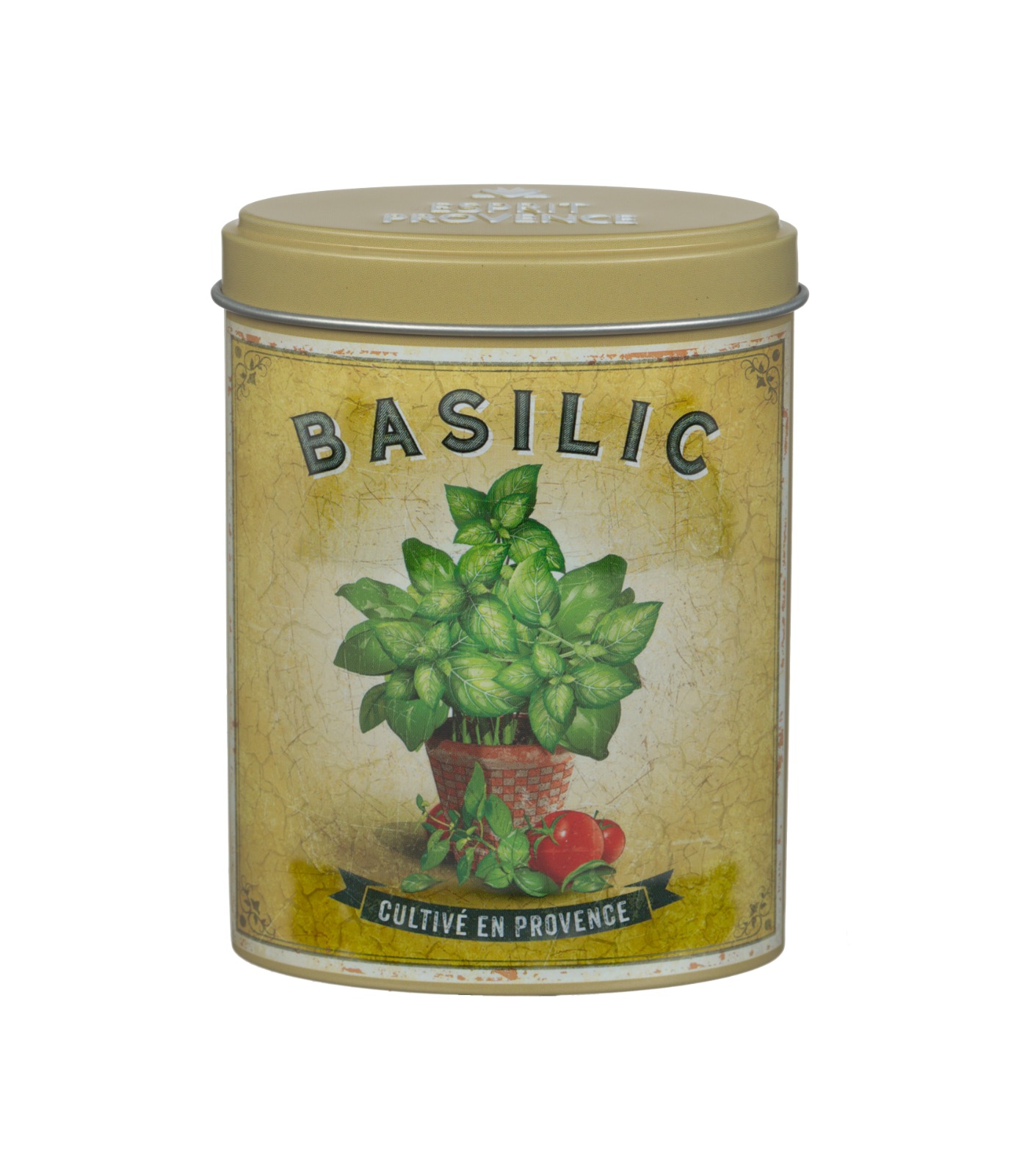 בזיליקום תבלין