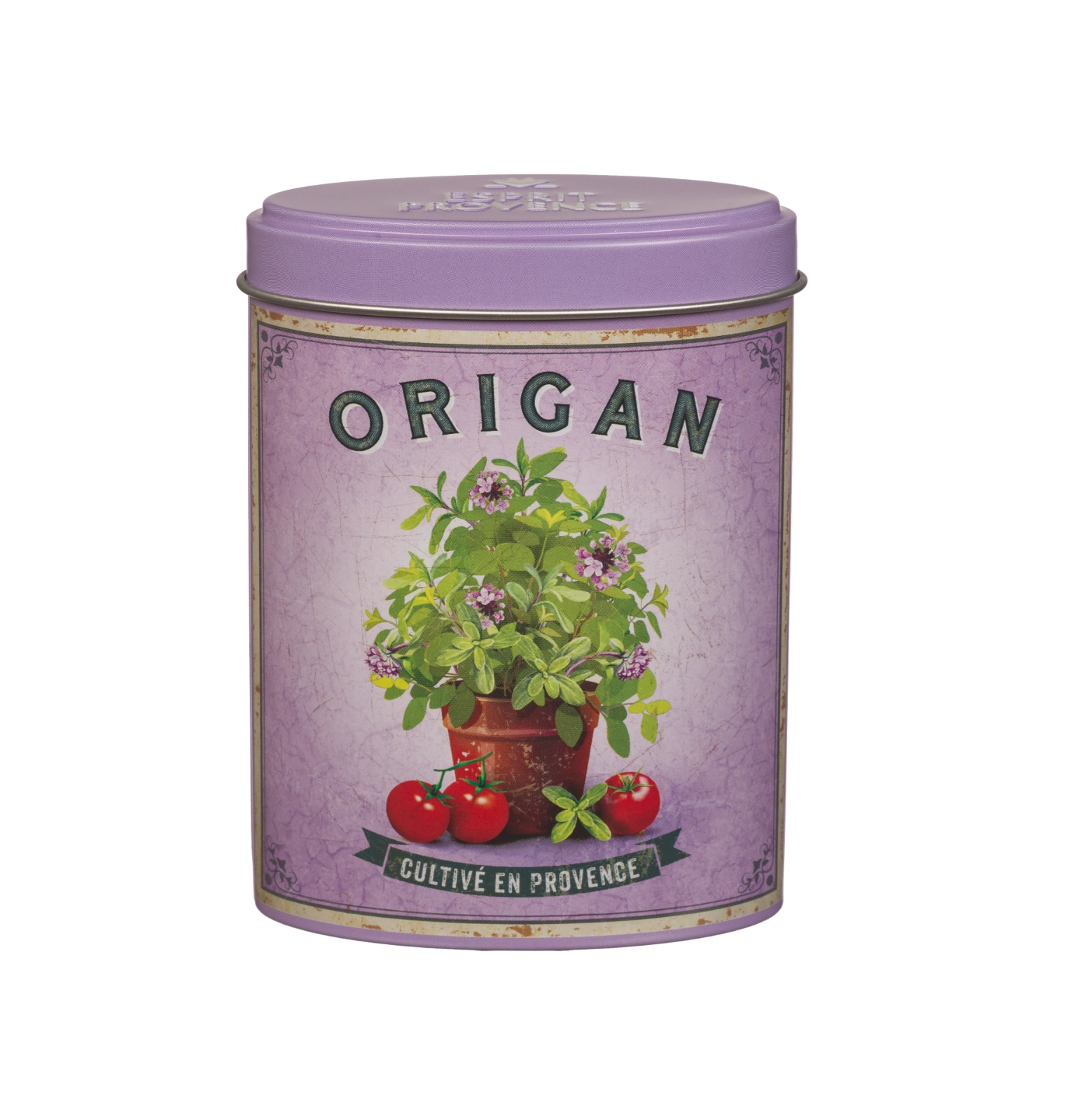 WhatsApp Image 2026-01-05 at 14.17.54 אורגנו